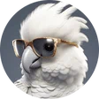 dav_gioca
